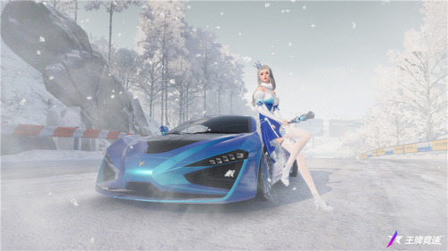 圖七：雪魄瓊花，浪漫非常.jpg